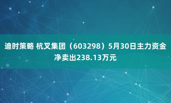 迪时策略 杭叉集团（603298）5月30日主力资金净卖出238.13万元