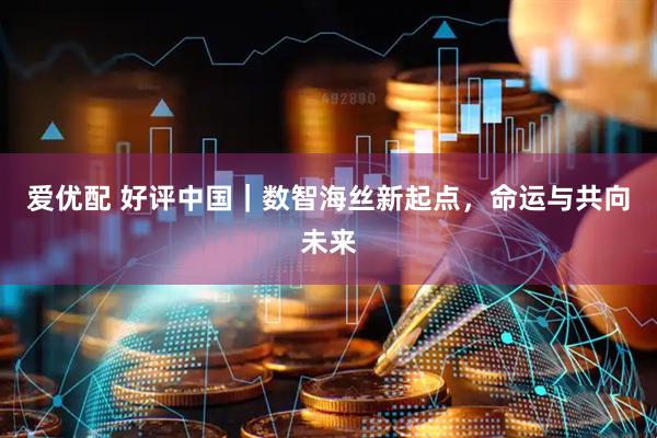 爱优配 好评中国｜数智海丝新起点，命运与共向未来
