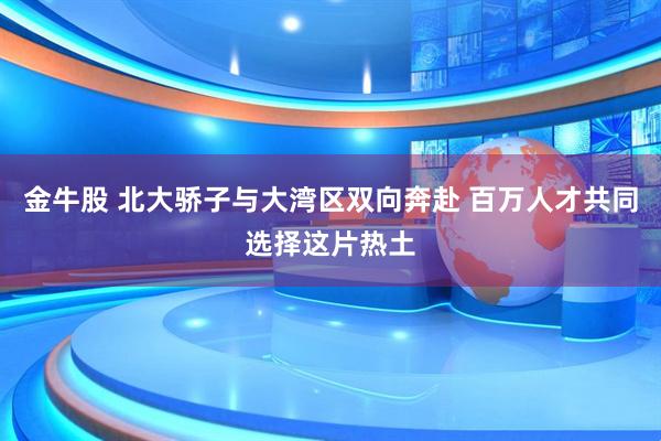 金牛股 北大骄子与大湾区双向奔赴 百万人才共同选择这片热土