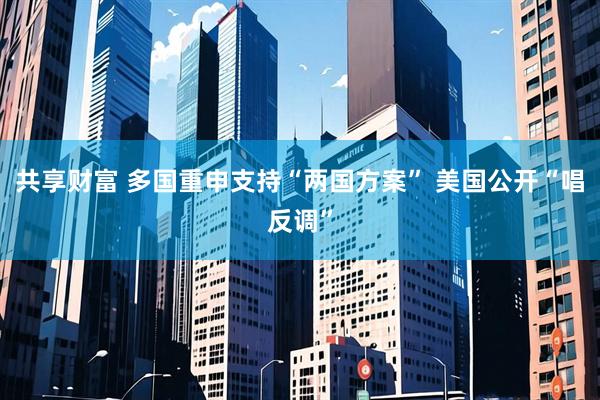 共享财富 多国重申支持“两国方案” 美国公开“唱反调”