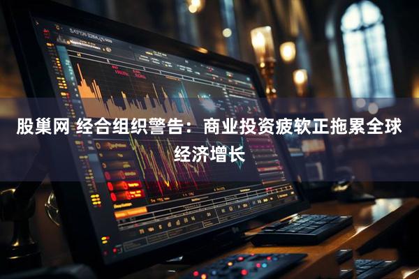 股巢网 经合组织警告：商业投资疲软正拖累全球经济增长