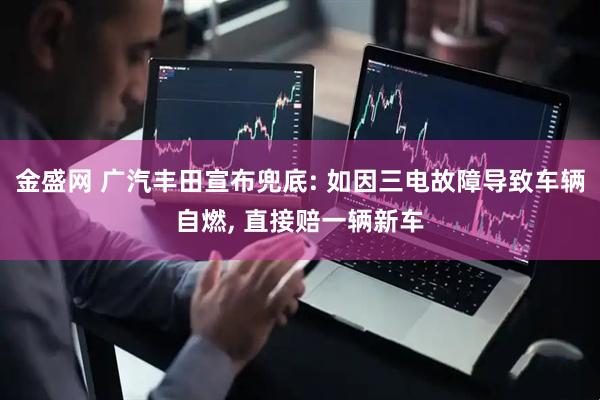 金盛网 广汽丰田宣布兜底: 如因三电故障导致车辆自燃, 直接赔一辆新车