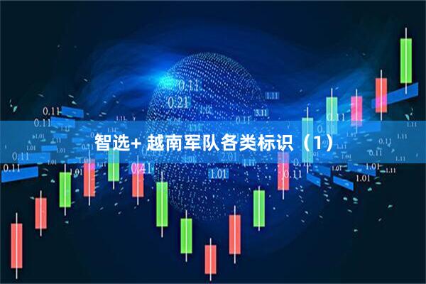 智选+ 越南军队各类标识（1）
