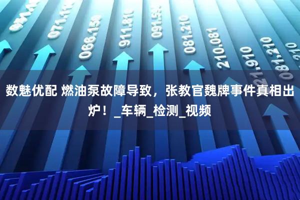 数魅优配 燃油泵故障导致，张教官魏牌事件真相出炉！_车辆_检测_视频