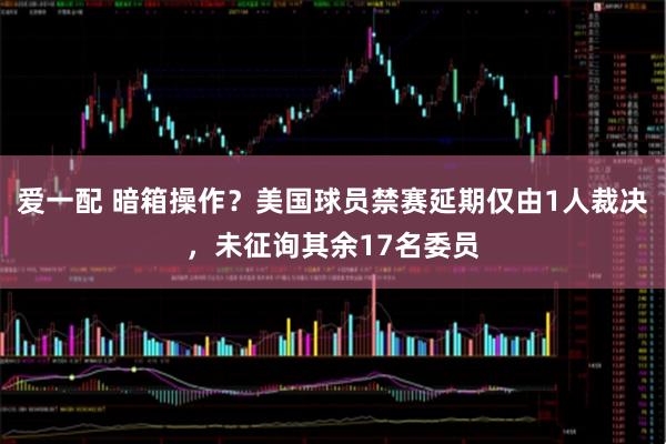爱一配 暗箱操作?美国球员禁赛延期仅由1人裁决,未征询其余17名委员